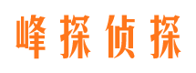 叠彩寻人公司